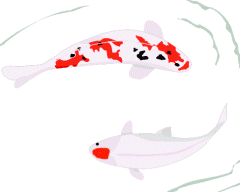 koi gif