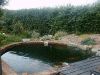 Click Here To View Details About Mark's Pond