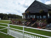 Click Here To View Details About The Essex County Show Ground